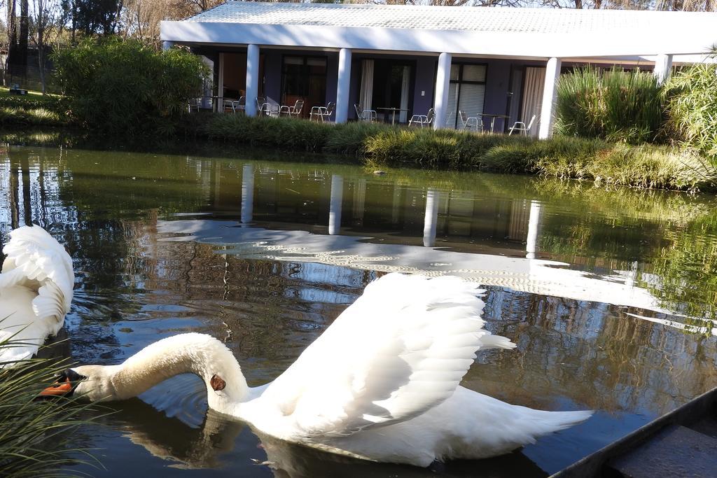 Willow Place Guest House Midrand Buitenkant foto